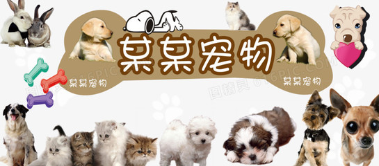比特币钱包苹果版